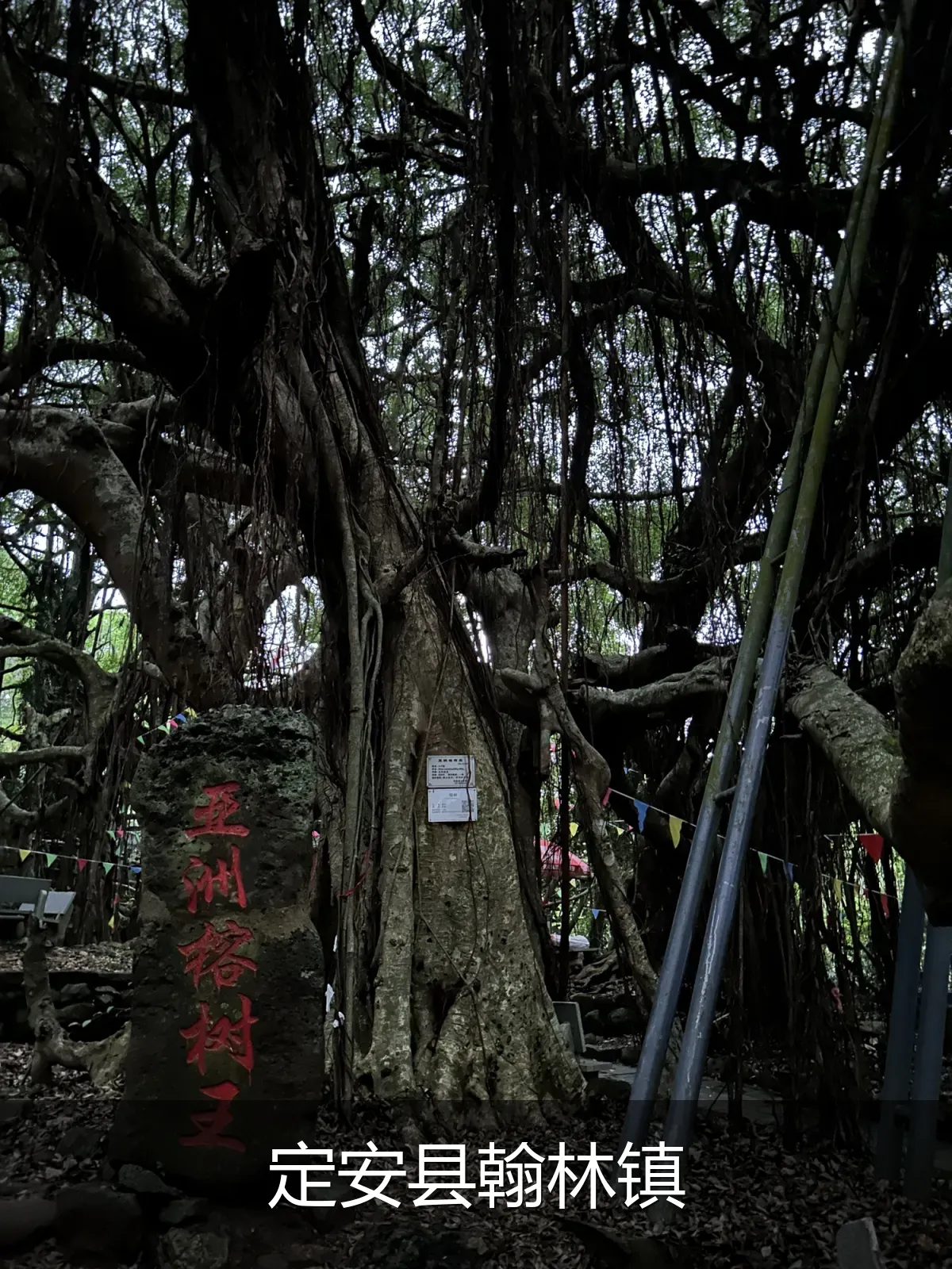 定安县翰林镇